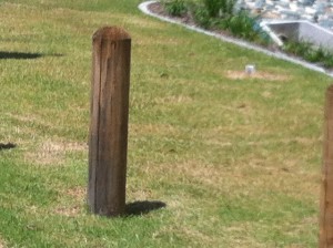 TIMBER BOLLARD 20